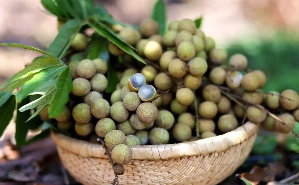 微信图片_20220826170307