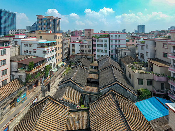 横沙书香街。资料图片