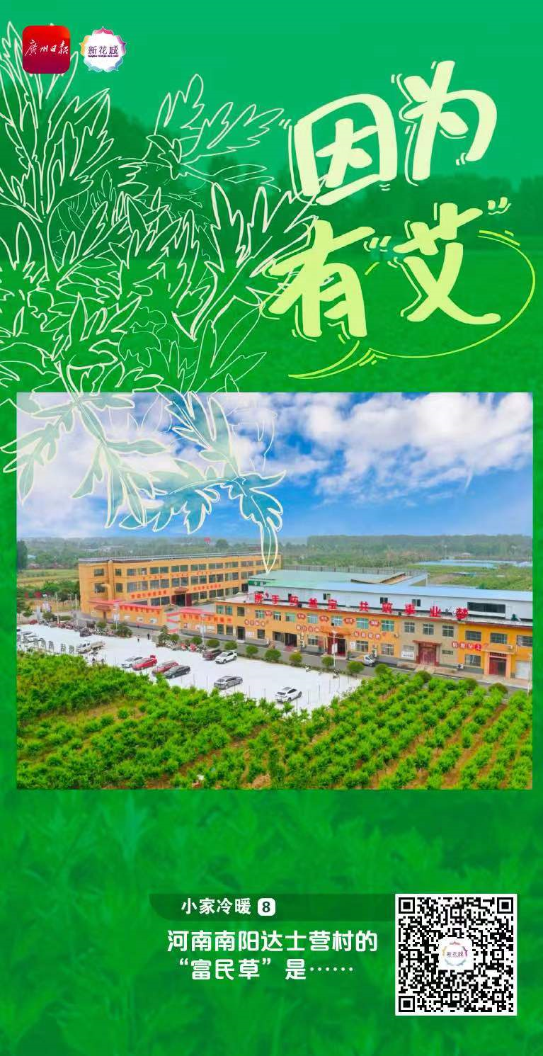 1663804521723023935.png image.png