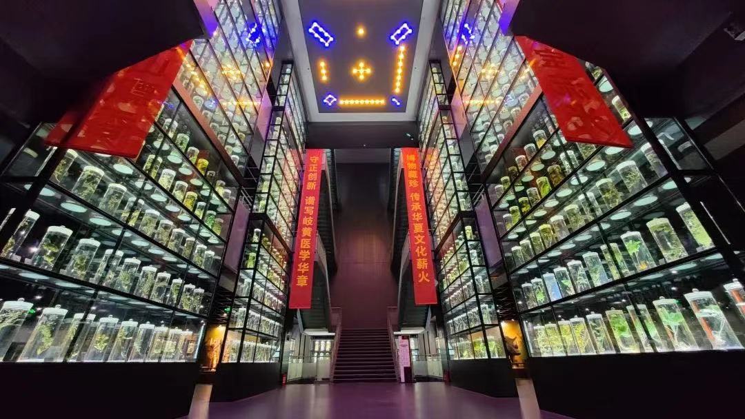 第二批研学实践教育基地之一的广东中医药博物馆主展厅