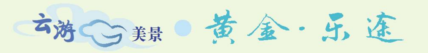 微信截图_20221001073206