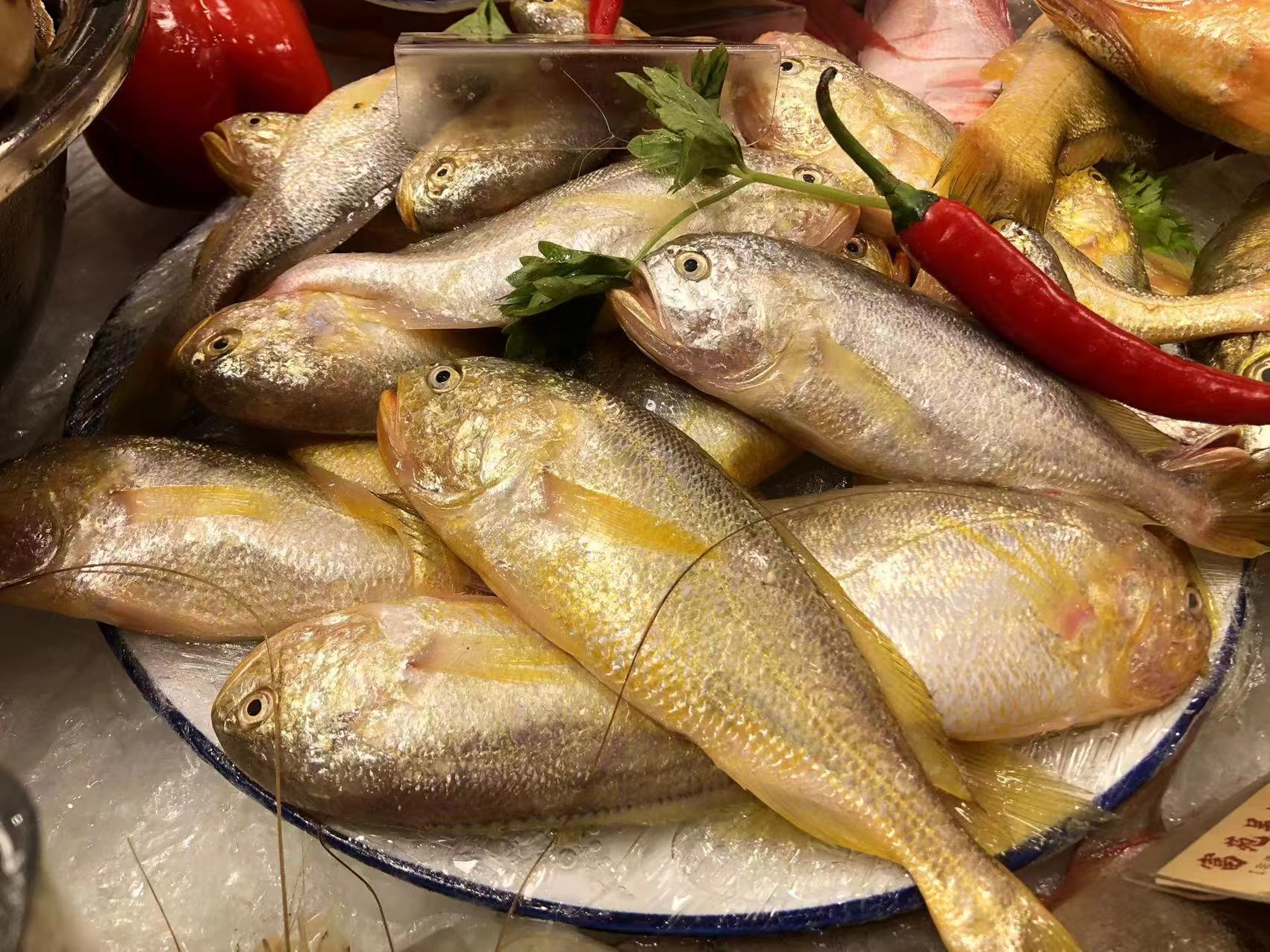 WechatIMG32.jpeg WechatIMG32.jpeg