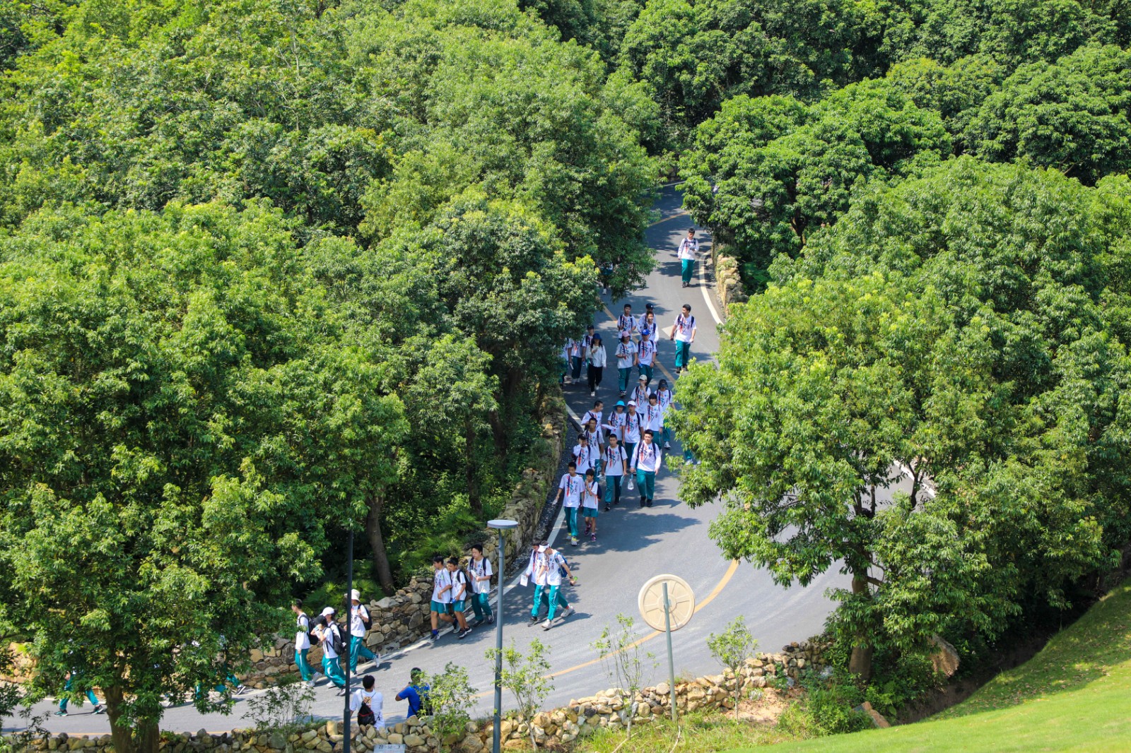 挑战1:林间徒步 (2)