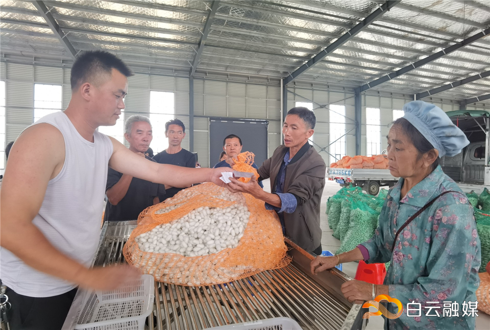 b3cb4d651c3d4206bdfbd441e5d94656