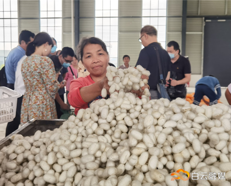 87125f1bb0414e559d358048b9aba223