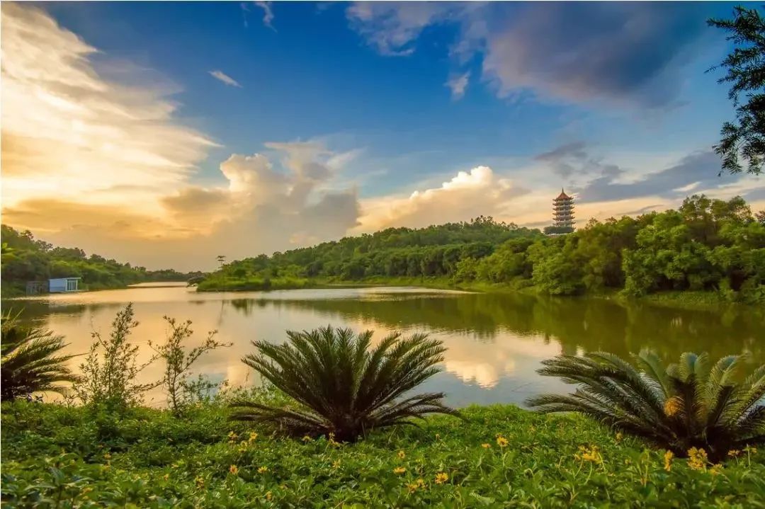 十八罗汉山2(来源大岗发布).png 图片