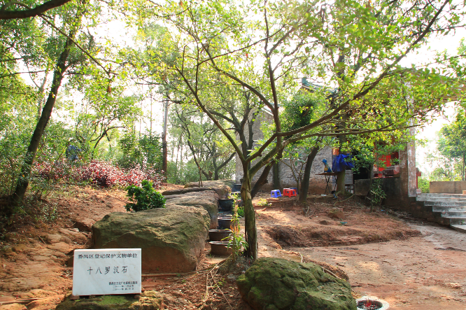 十八罗汉石(大岗发布).png 图片