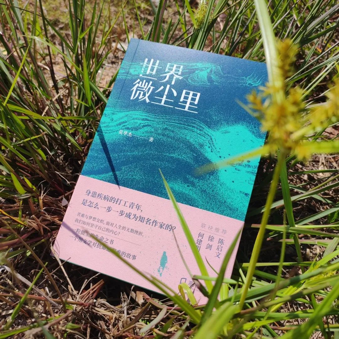 青年作家莫华杰长篇自传《世界微尘里》出版