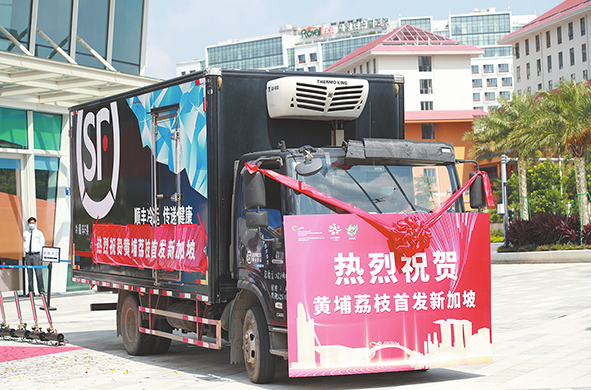 1667890952685022823.png image.png