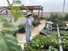 微信图片_20221117110806