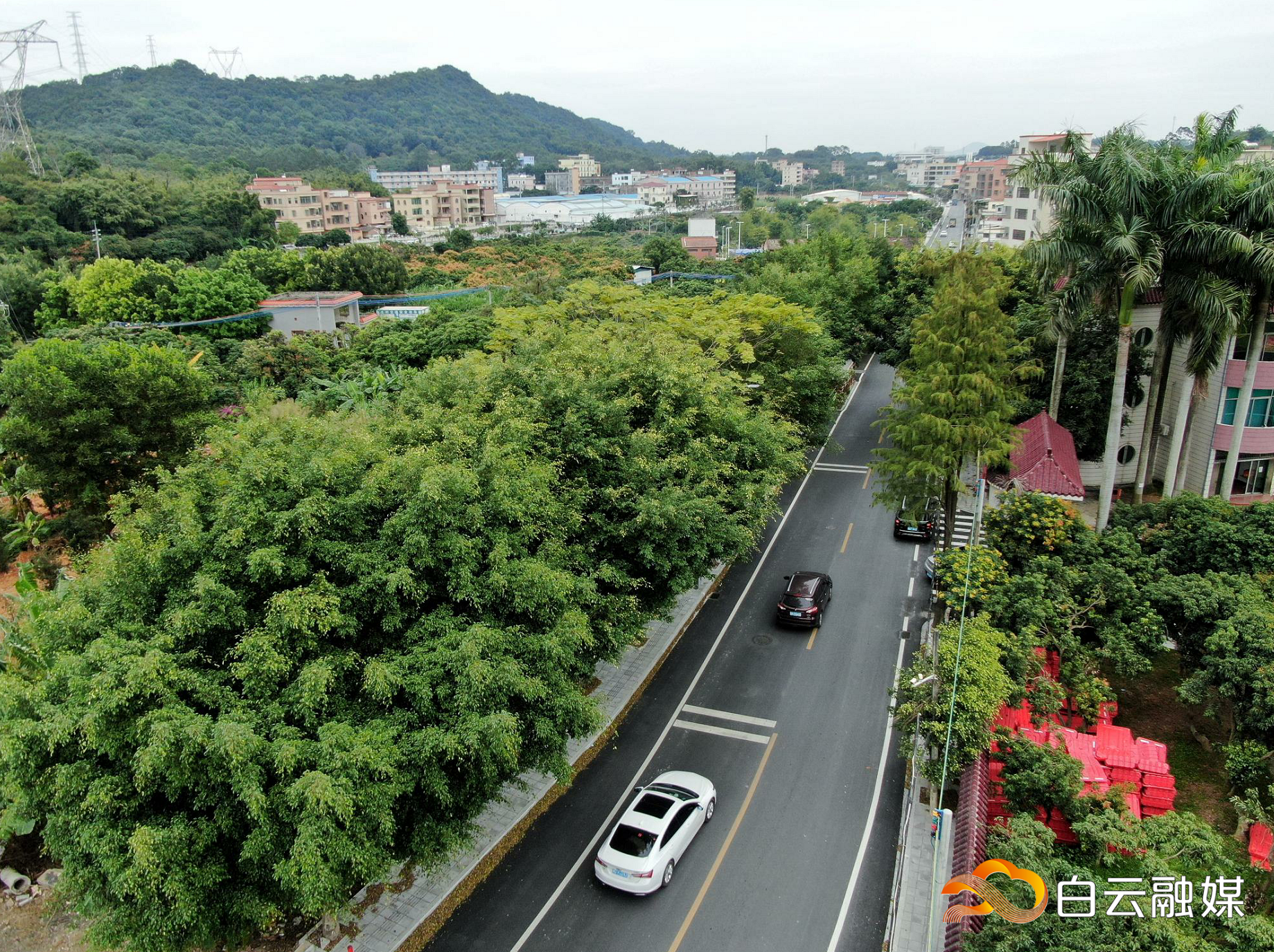 QQ图片20221207155054