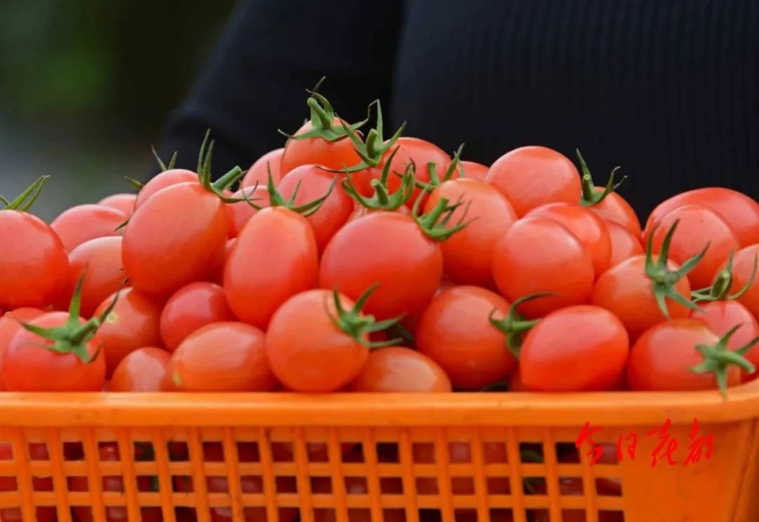 微信图片_20221207163114.jpg 图片