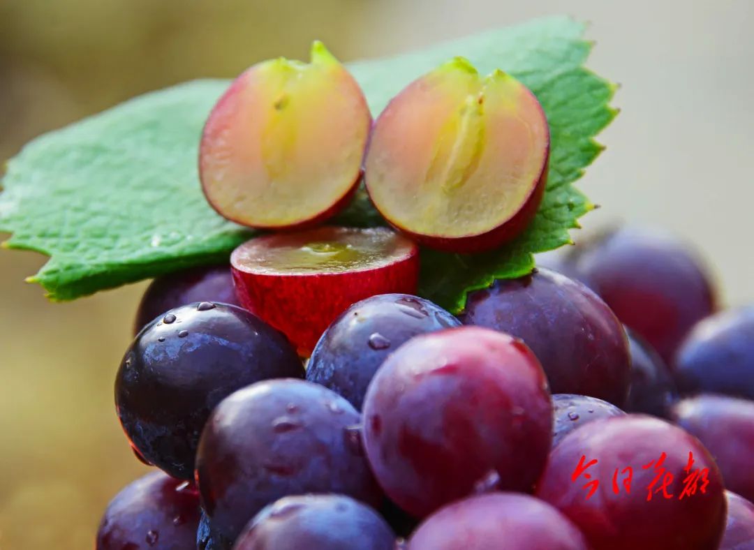 微信图片_20221209161802.jpg 图片