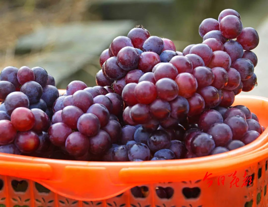 微信图片_20221209161812.jpg 图片