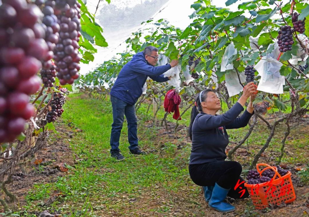 微信图片_20221209161816.jpg 图片