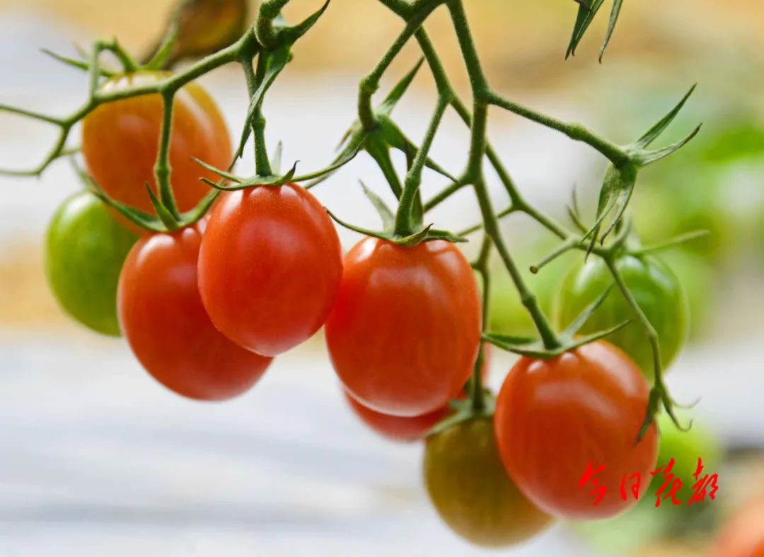 微信图片_20221207163051.jpg 图片