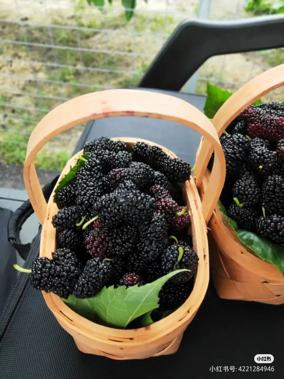 微信图片_20221212142532.jpg 图片