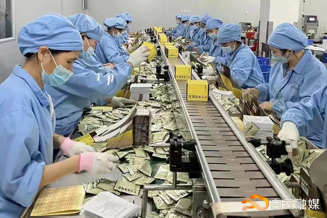 白云山小柴胡颗粒生产线马力全开，每日满负荷生产