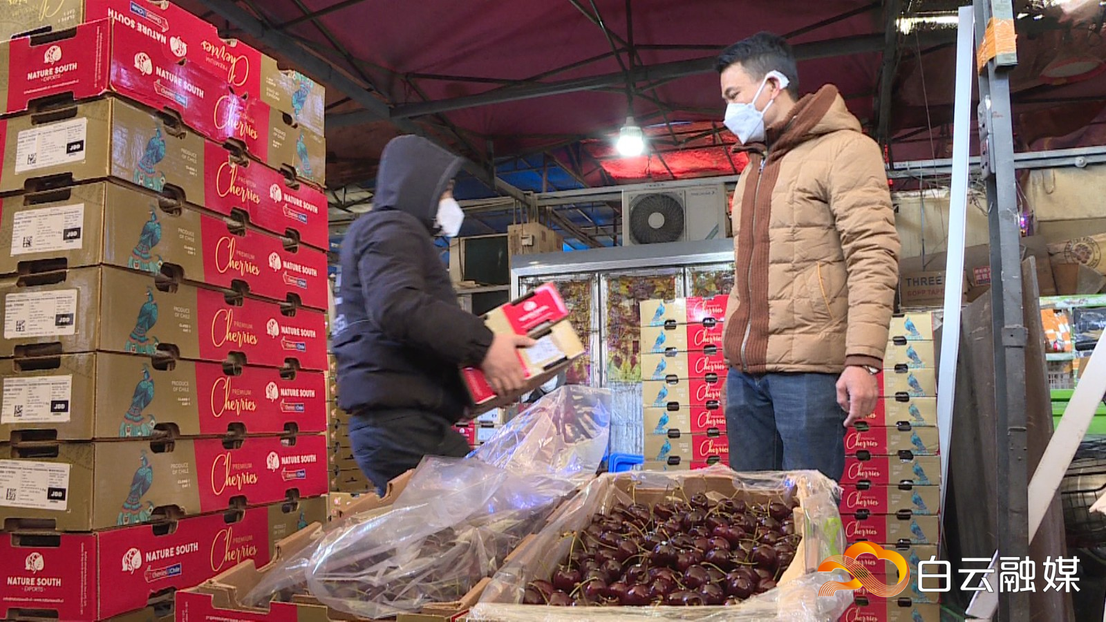 (5)车厘子1 (5)车厘子1