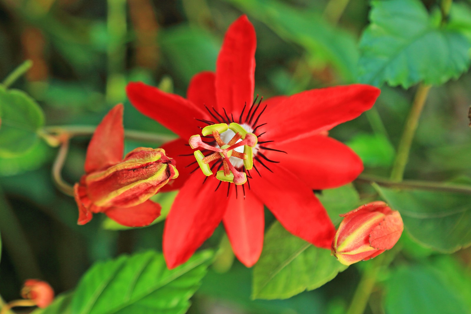 c邓新华摄 (6).JPG