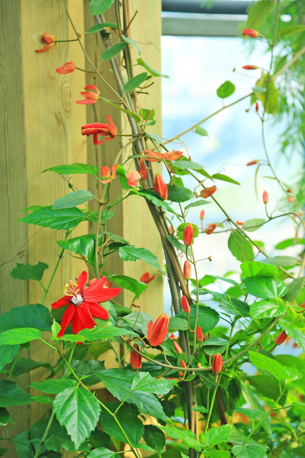 d邓新华摄 (4).JPG