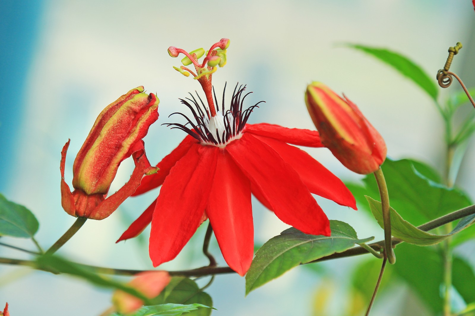 a邓新华摄 (3).JPG