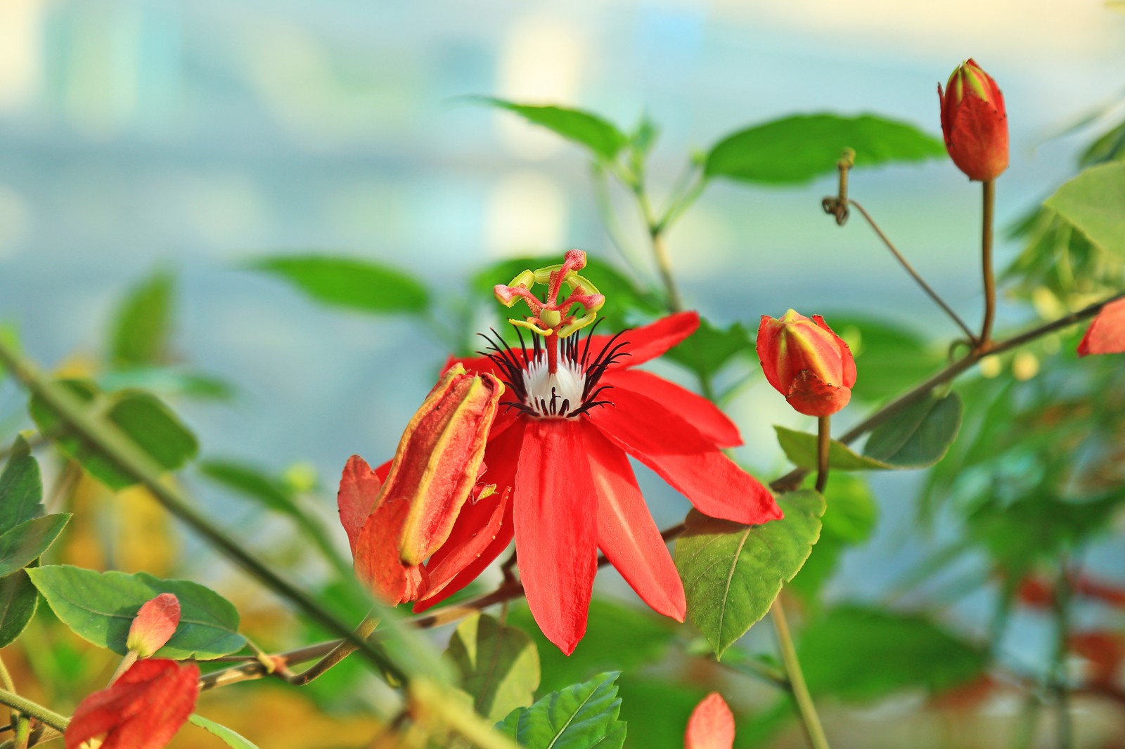 b邓新华摄 (5).JPG