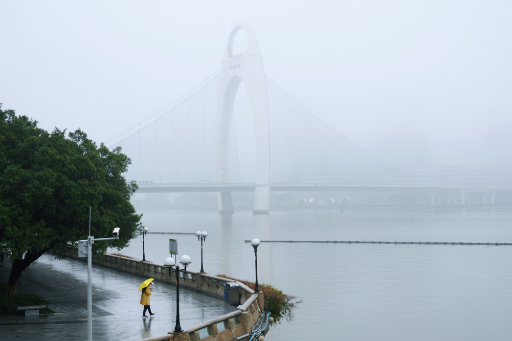 大雾弥漫天气潮湿,周三雨雾天气缓解