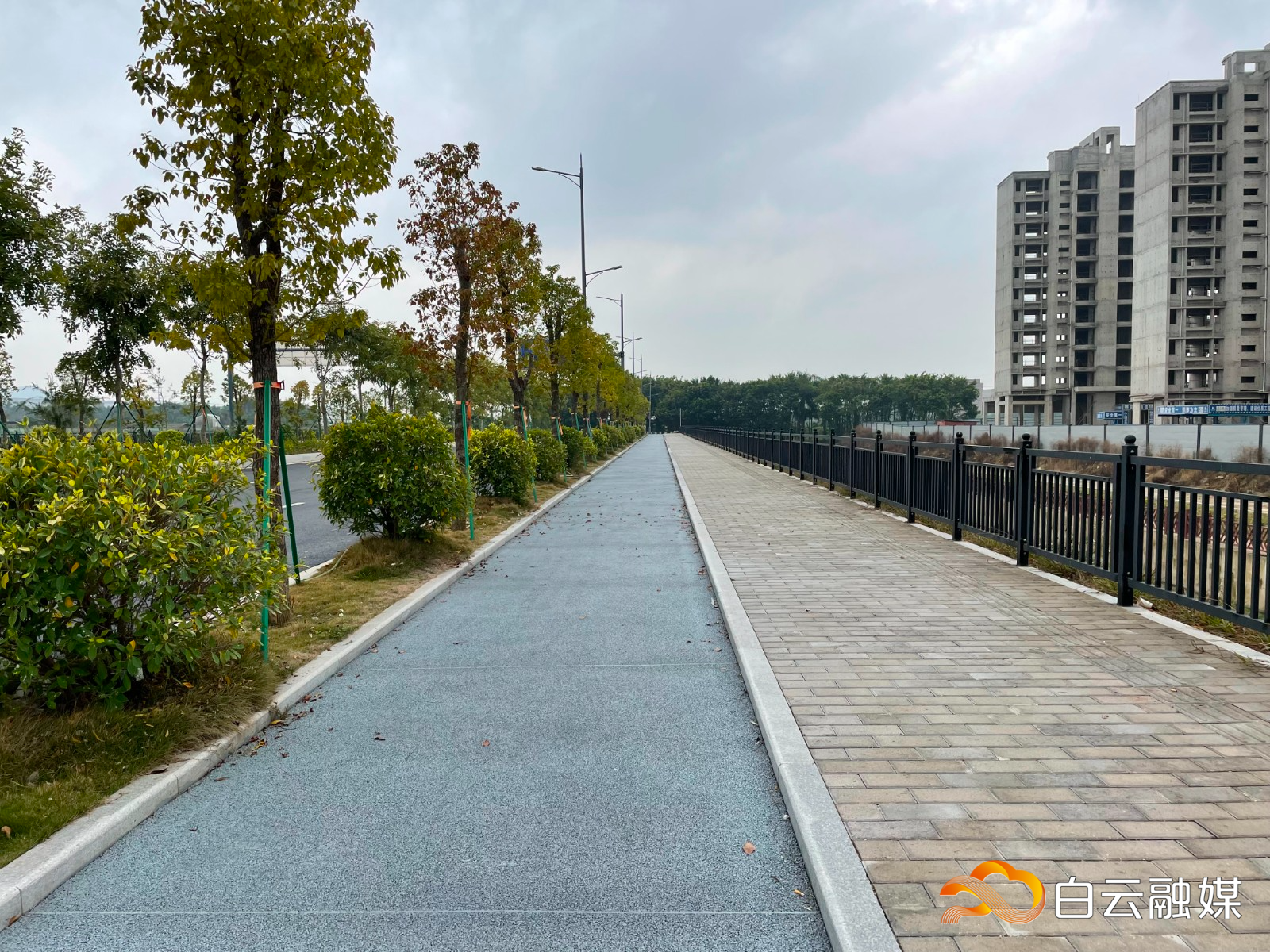 (5)创新大道示范项目1 (5)创新大道示范项目1