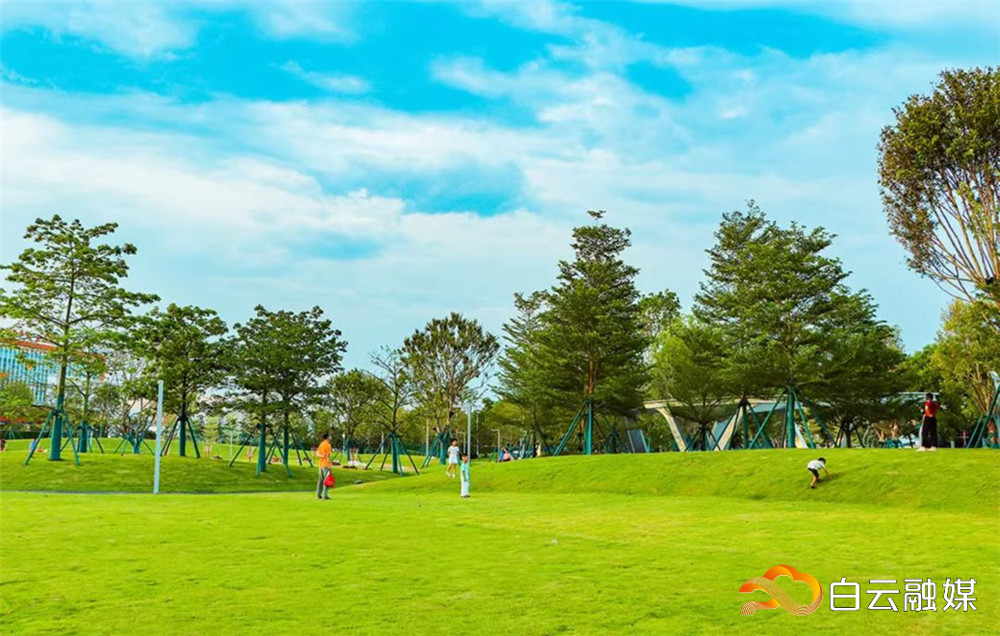 飞盘公园 飞盘公园