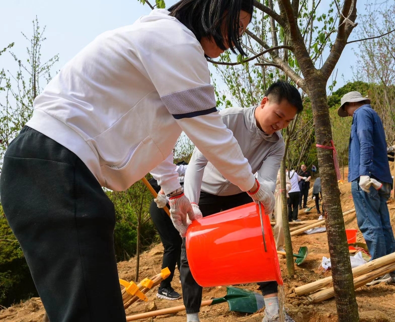 植树节|深圳三洲田森林公园种下樱花树