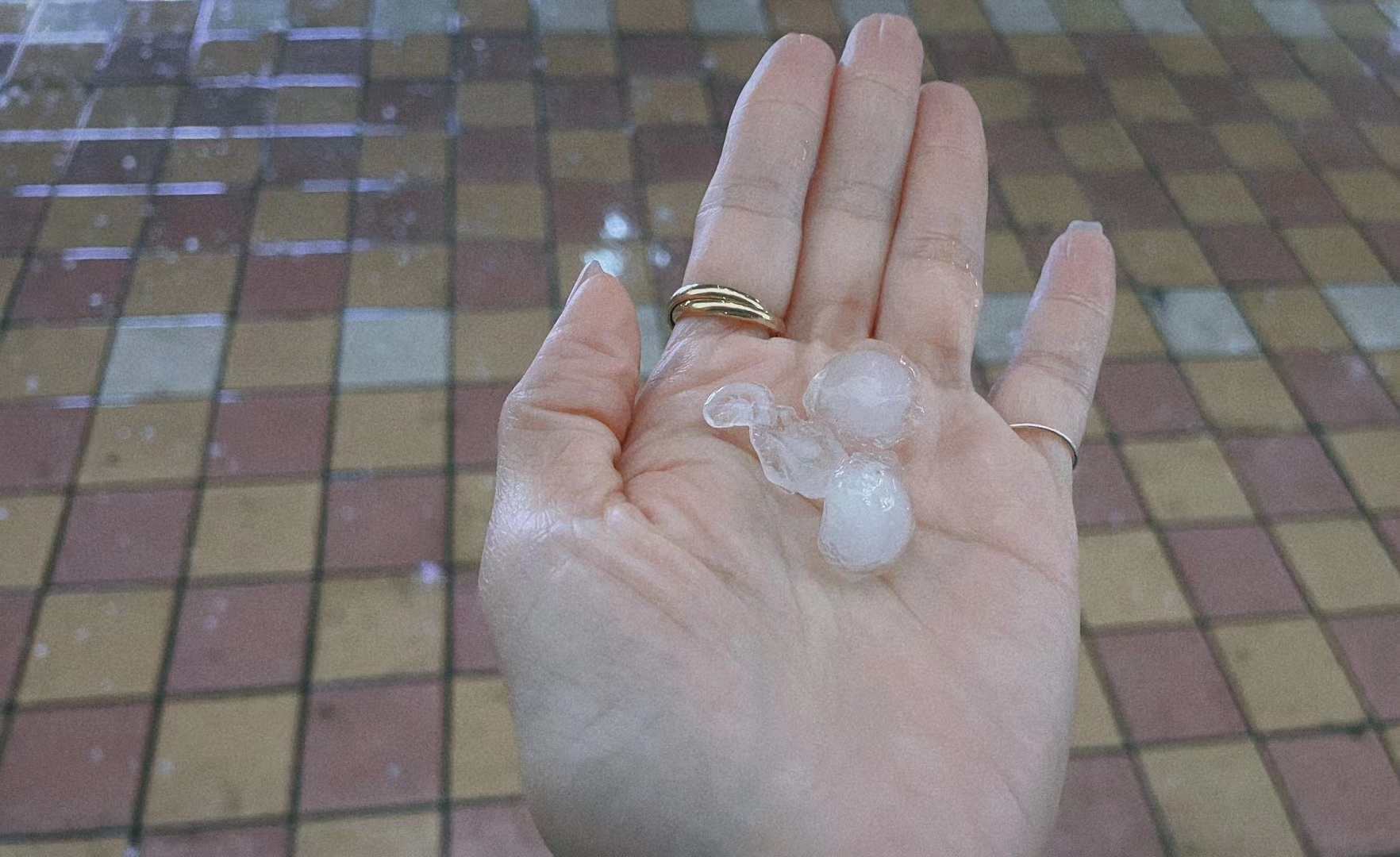 微信图片_20230324112304