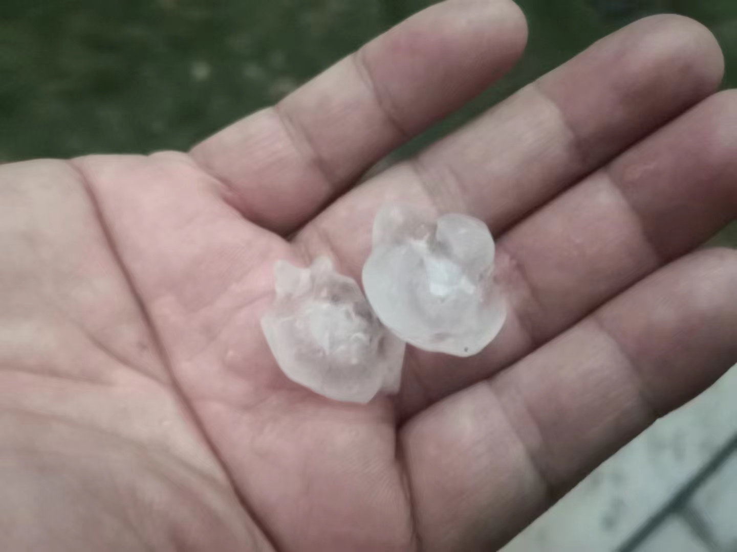 微信图片_20230324112308