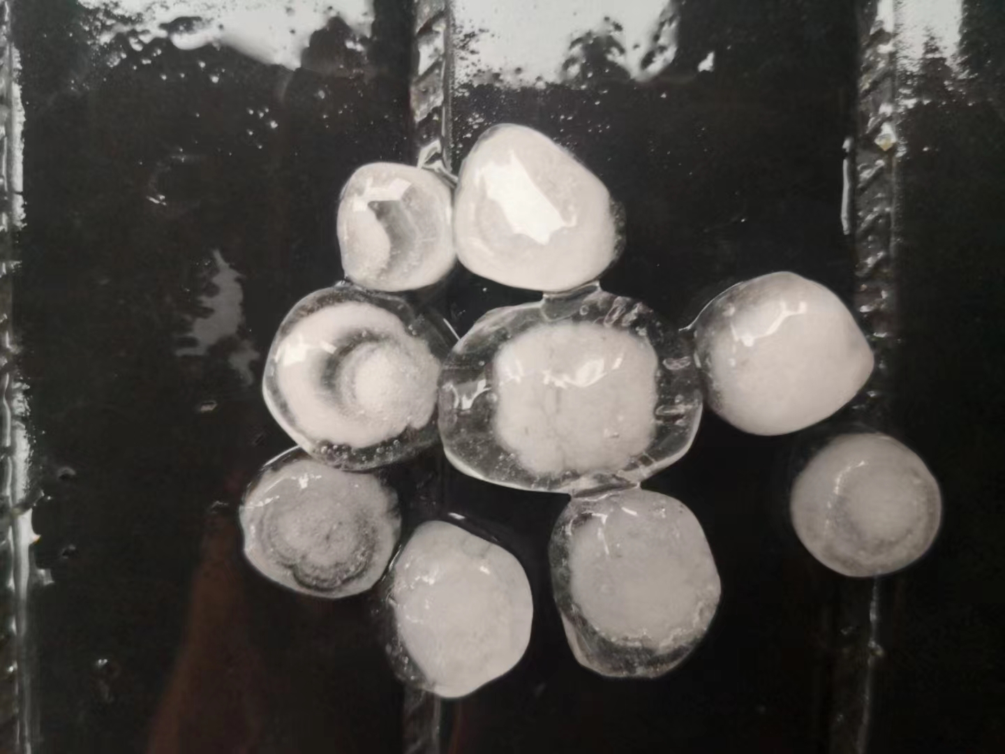 微信图片_20230324112311