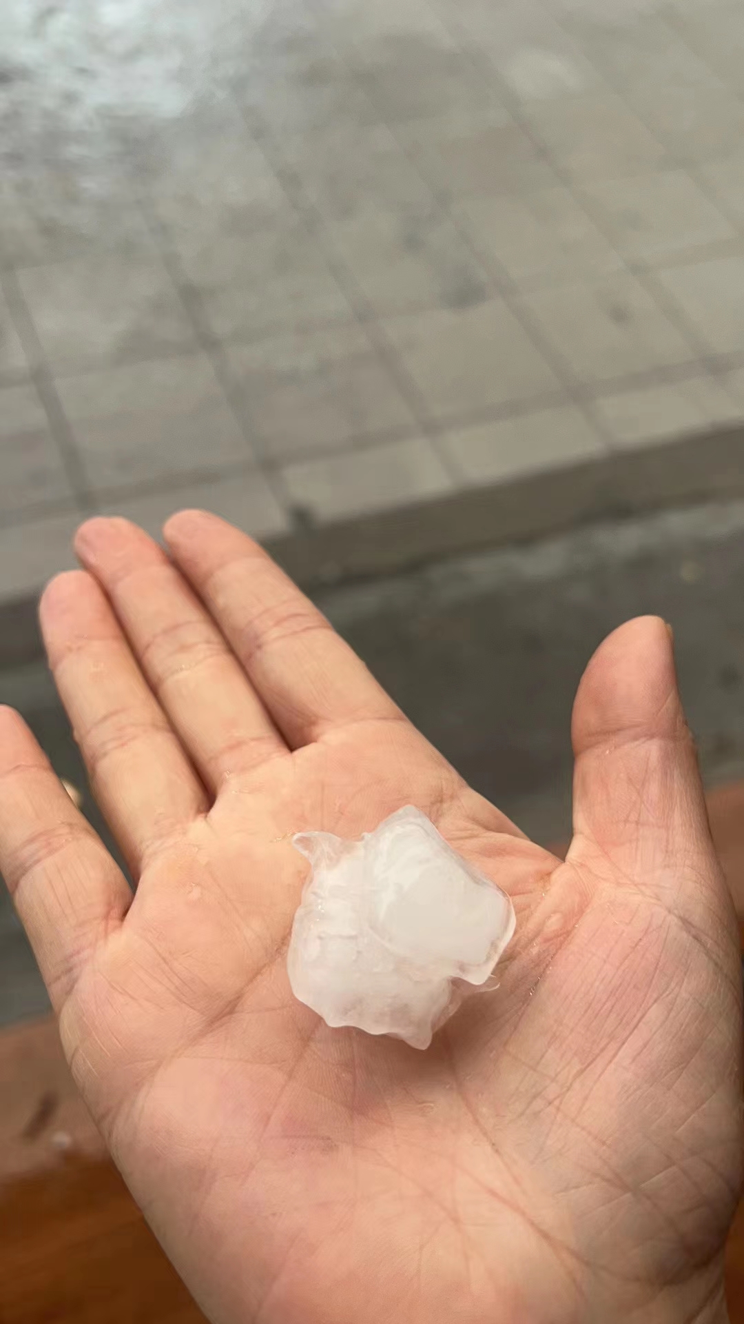 微信图片_20230324112315