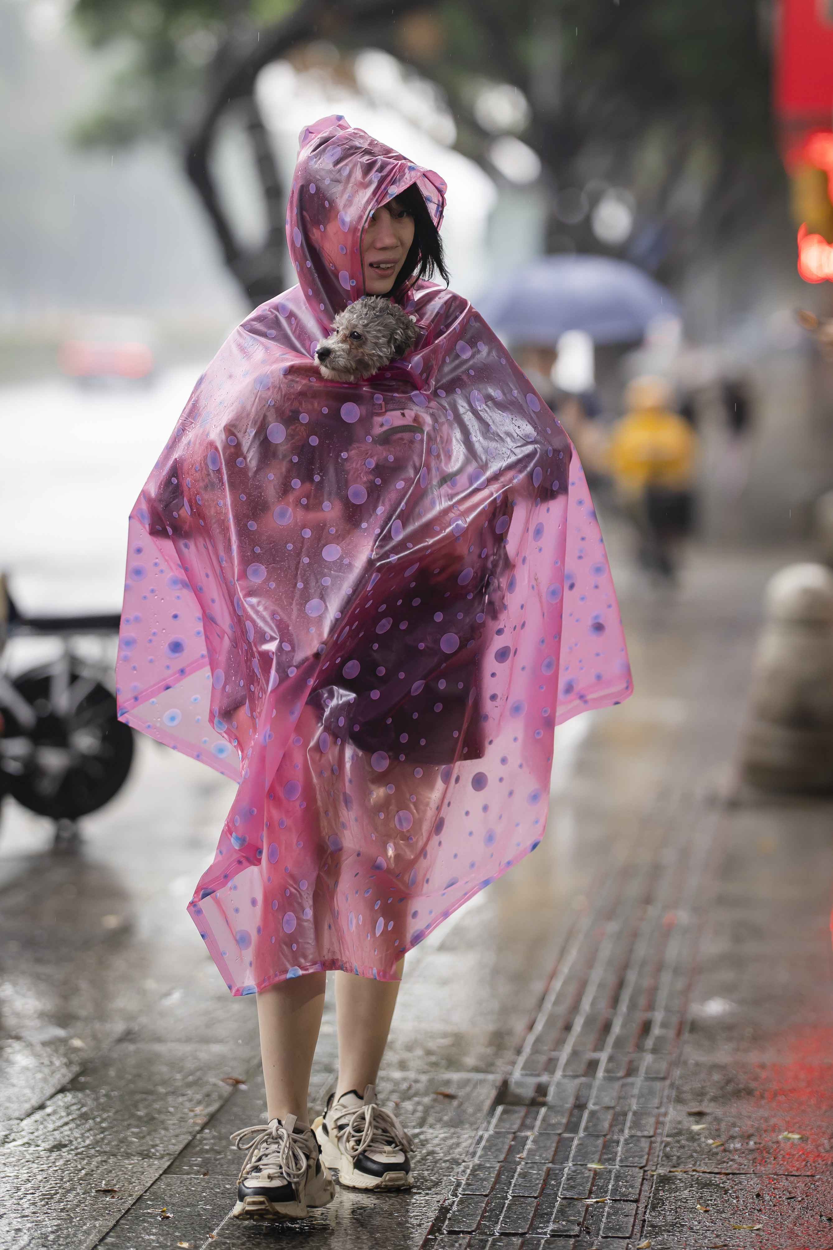 微信图片_20230324145156