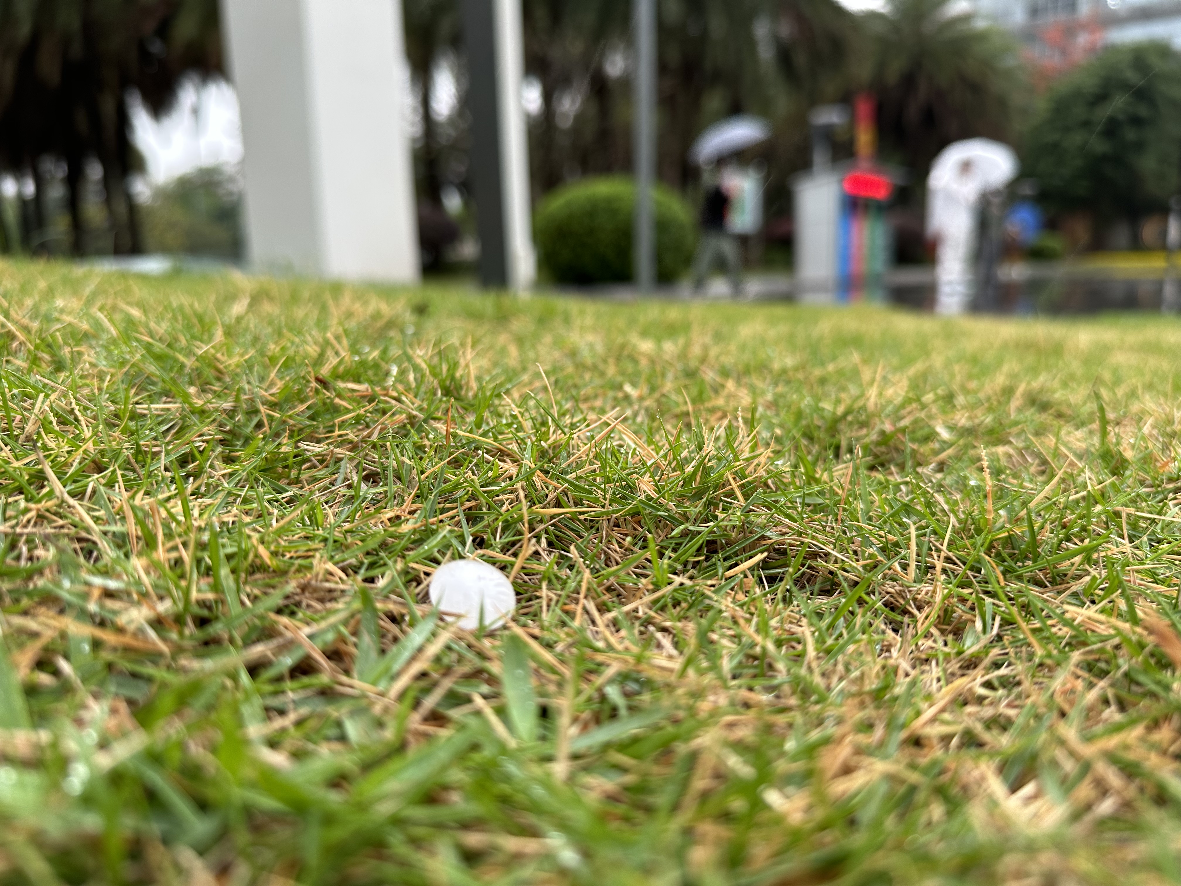 微信图片_20230324161424