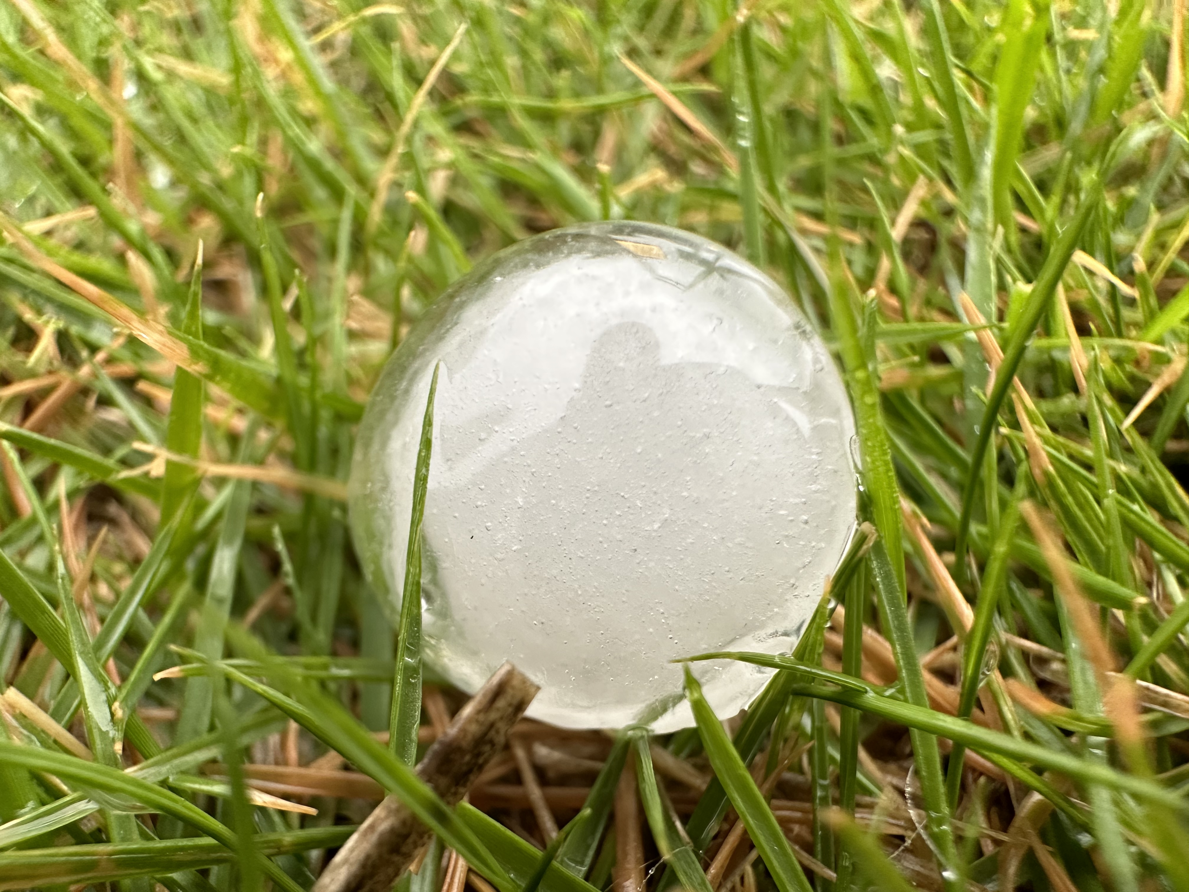 微信图片_20230324161504