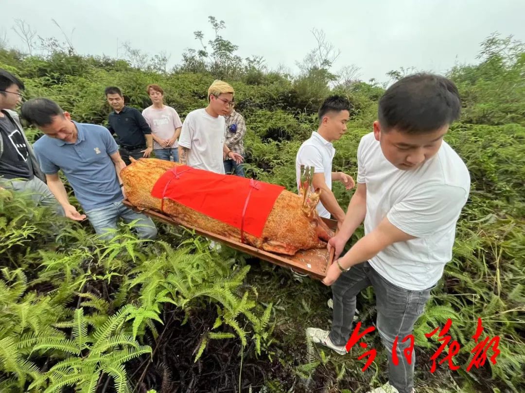 回乡祭祖遭遇祖坟被挖，传统与现代的冲突与反思