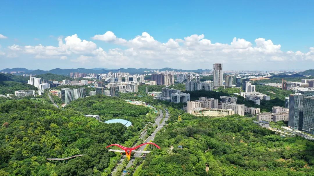 科学城1 李剑锋 摄.jpg