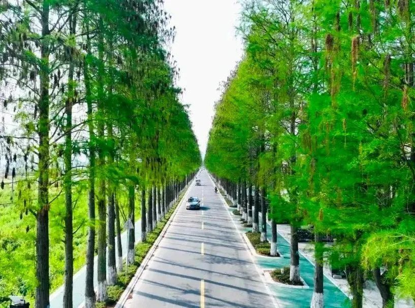 图片1.jpg 图片1.jpg