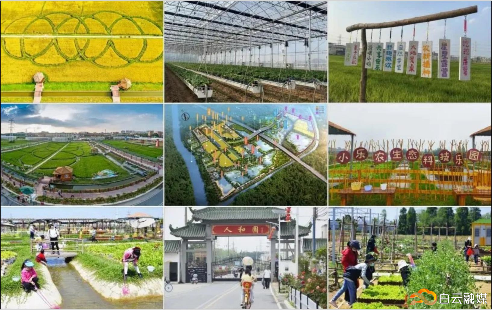 1682933638531026664.jpg 图片1.jpg