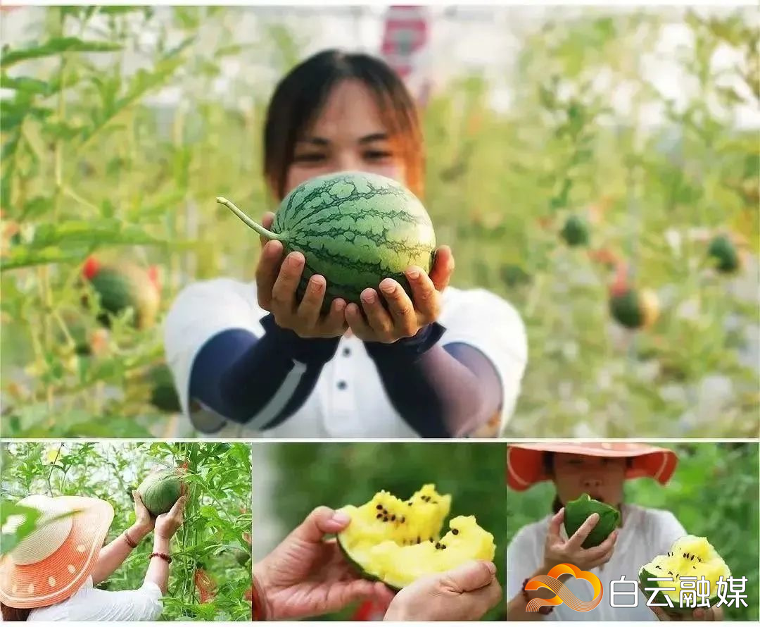 1682937810841054396.jpg 微信图片_20230501184141.jpg