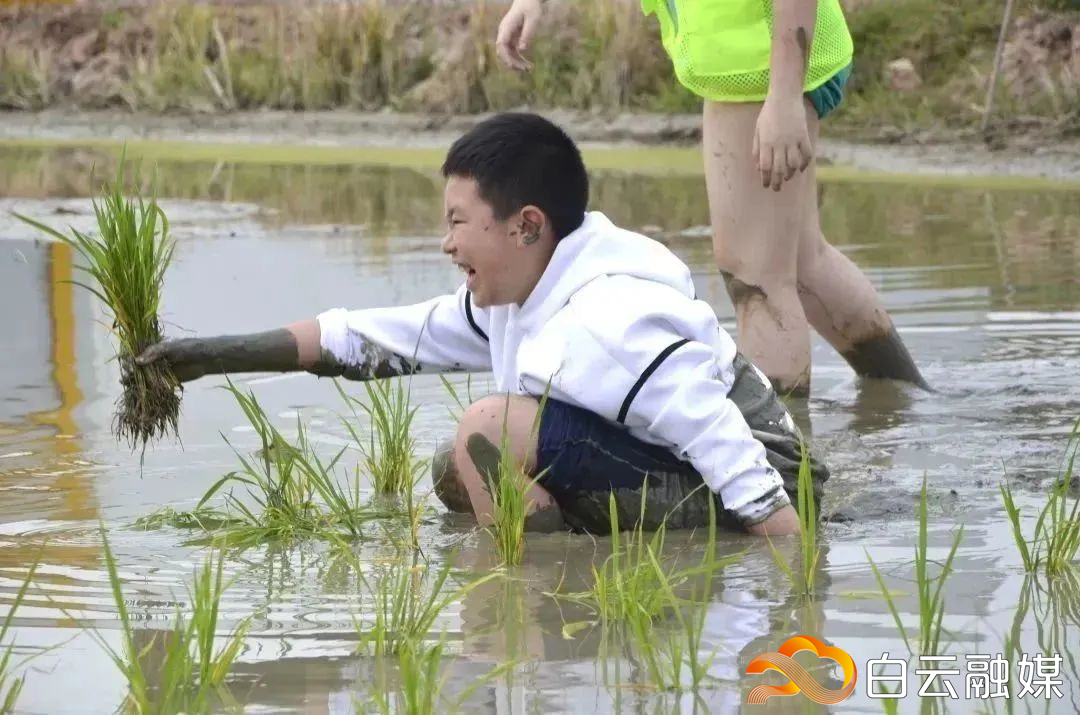 1682937804164093728.jpg 微信图片_20230501184134.jpg