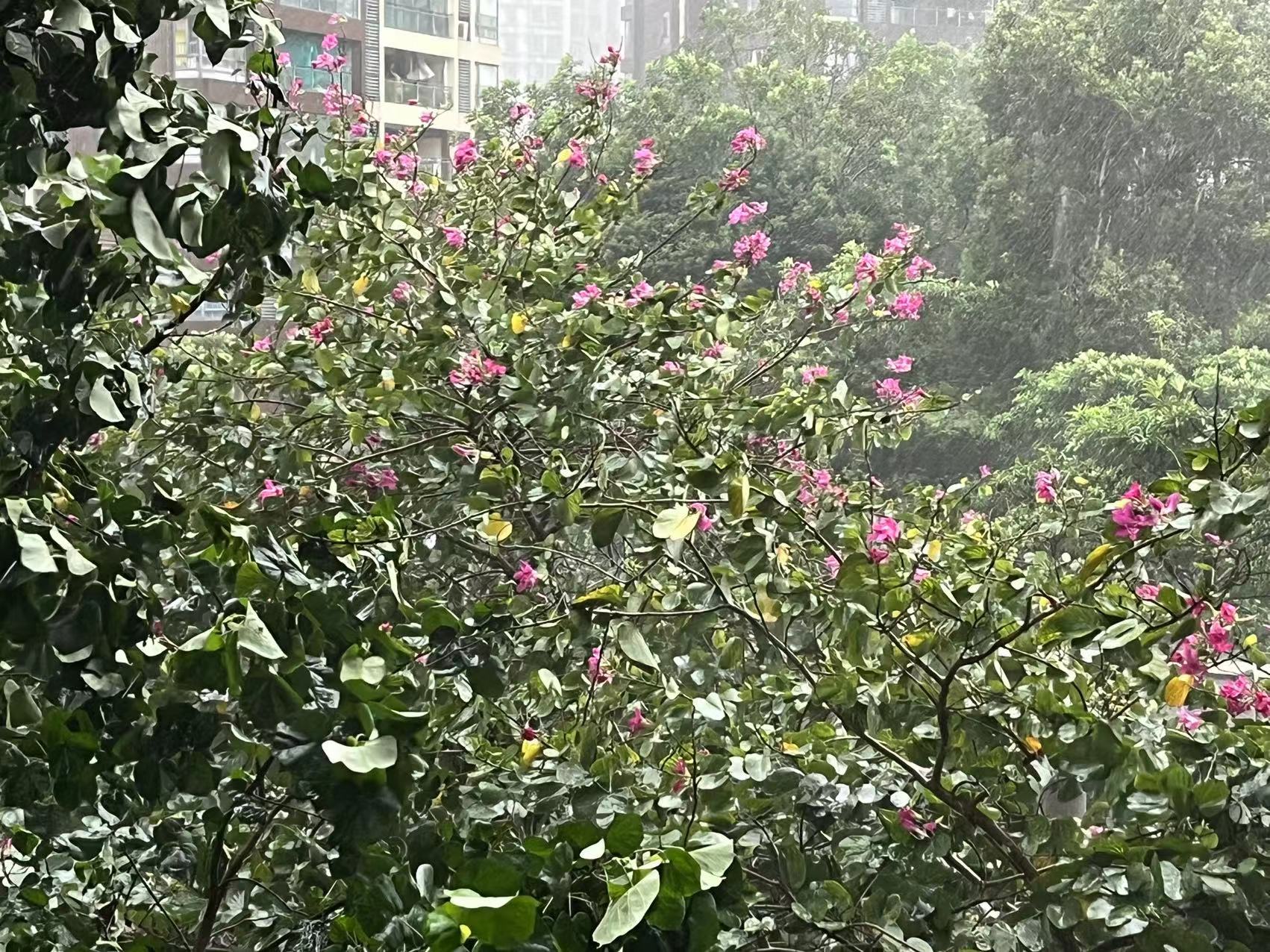 微信图片_20230507105253