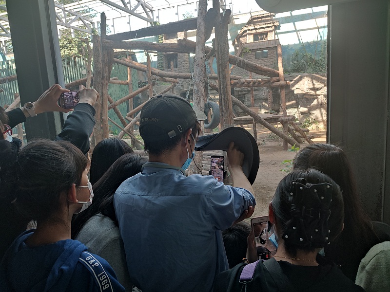 北京动物园熊猫馆,有主播在第一排架设好相机就不动了