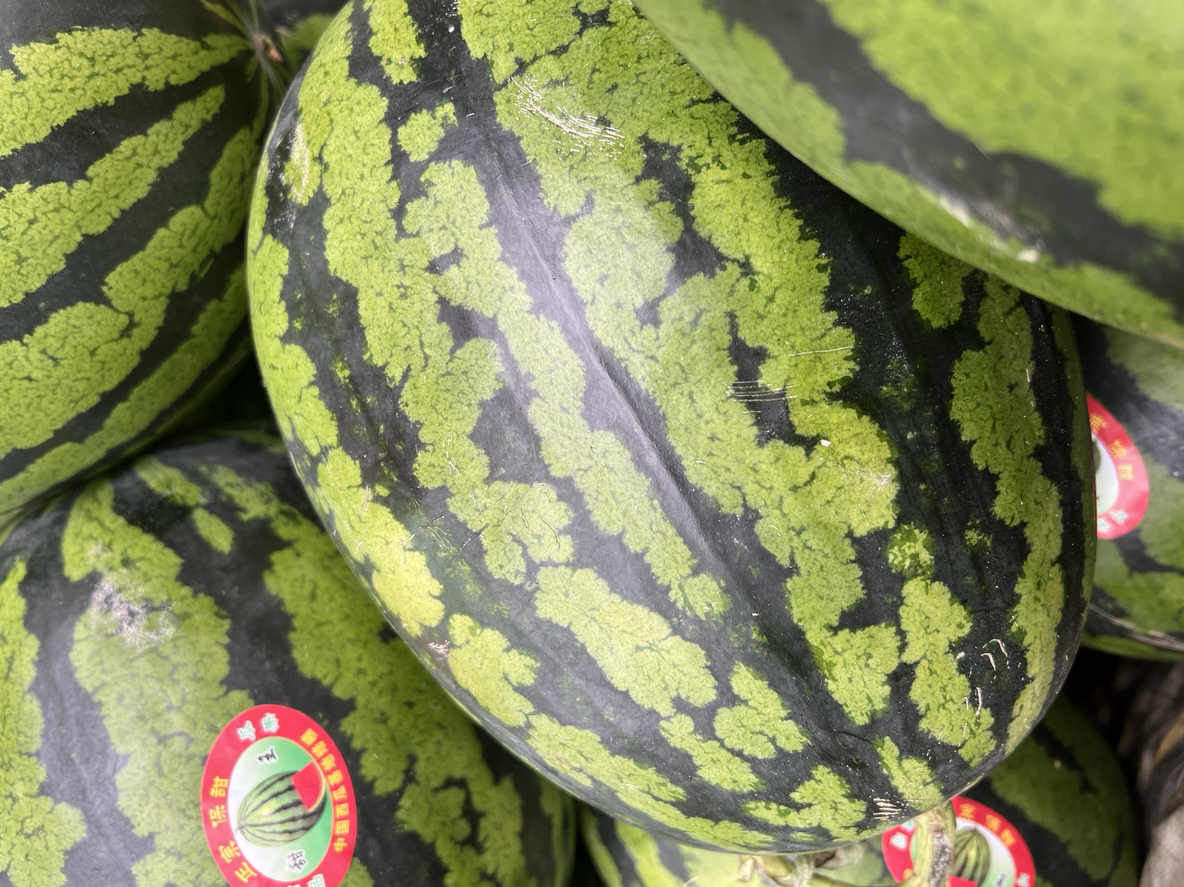 WechatIMG4660.jpeg WechatIMG4660.jpeg