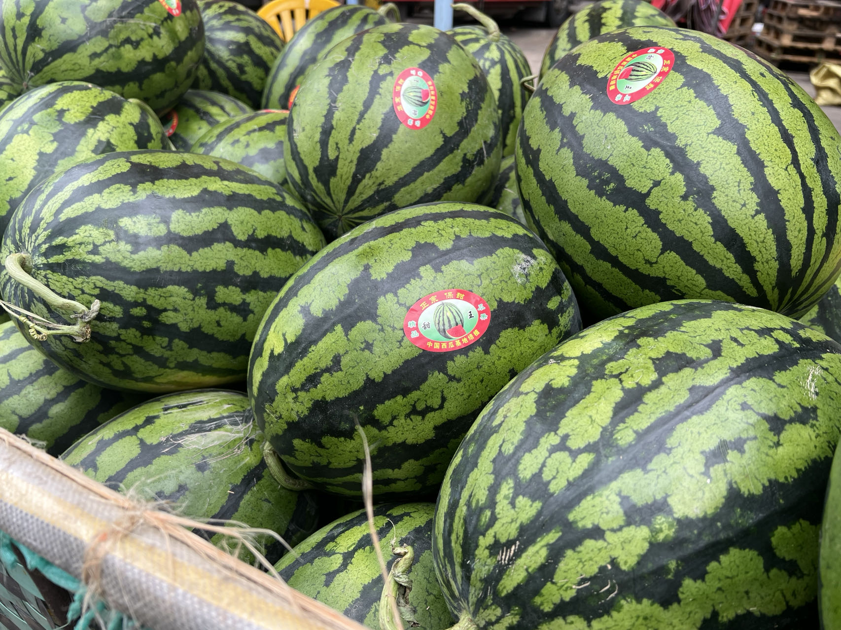 WechatIMG4661.jpeg WechatIMG4661.jpeg