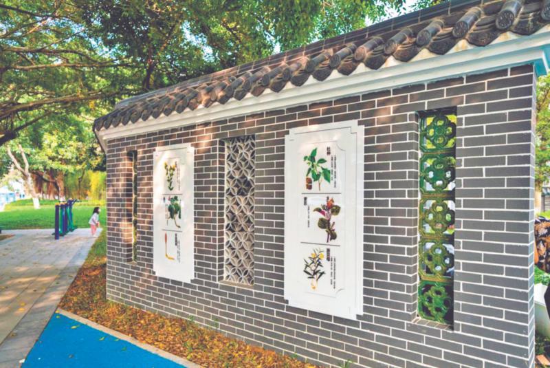 中医药主题口袋公园里的中医药知识。