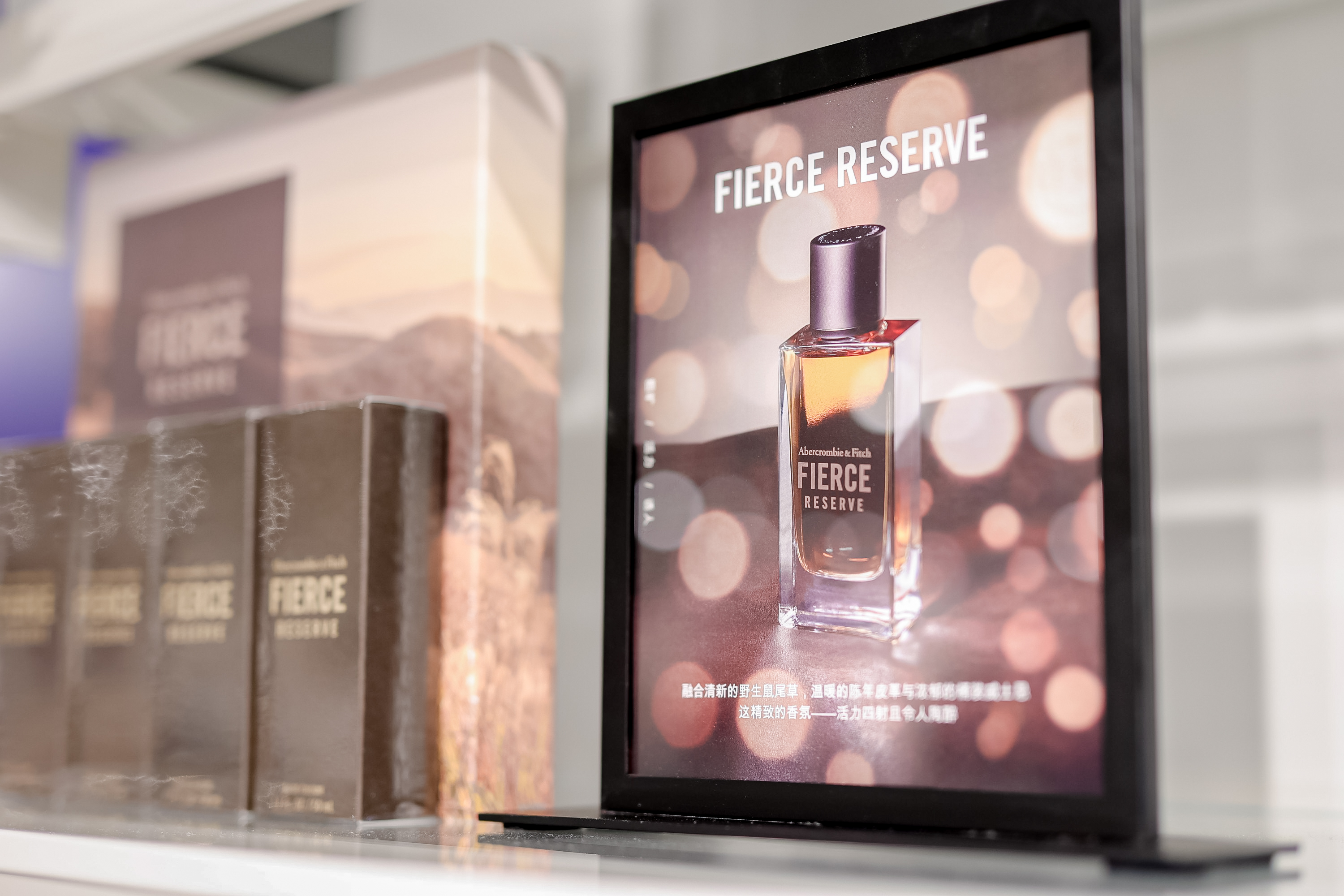 DBS_3612-opq462626025.jpg DBS_3612-opq462626025.jpg